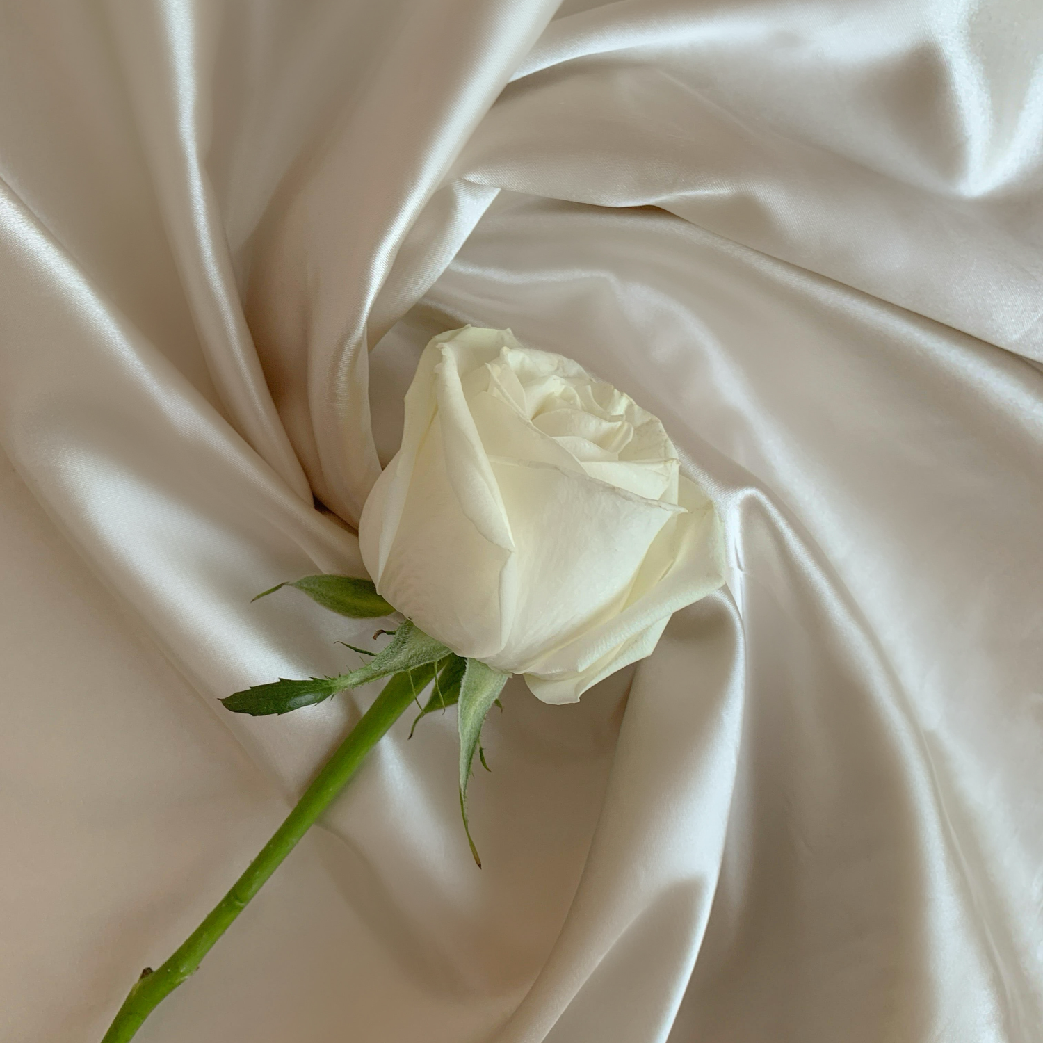 Silk & Love Stories: The Romantic Legacy of Luxury Fabrics